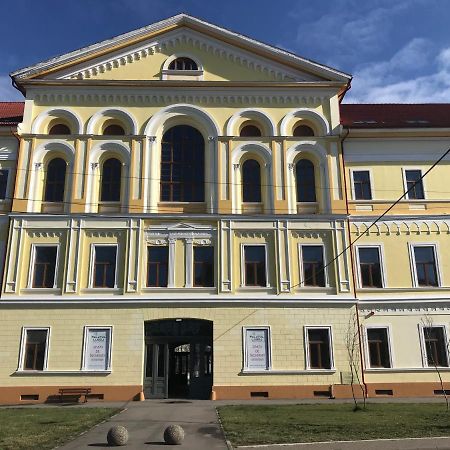 Palatul Lugoj 아파트 외부 사진